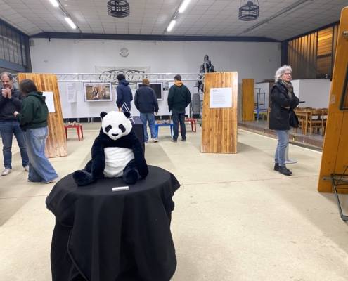 COME-Bloom_014 COME pop-up exhibition - Bloom, Mezzago (Italy)